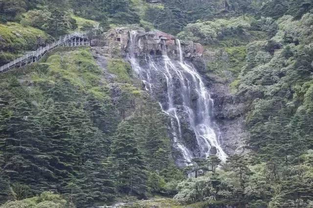 疯狂的麦克斯